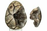 Septarian Dragon Egg Geode - Removable Section #191397-2